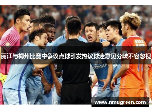 丽江与梅州比赛中争议点球引发热议球迷意见分歧不容忽视