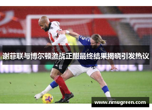 谢菲联与博尔顿激战正酣最终结果揭晓引发热议